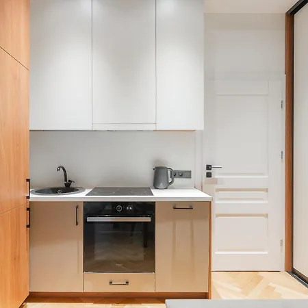 W-terrace & Garage Prk, Netflix, Ng Charm In Old Town Apartment *
