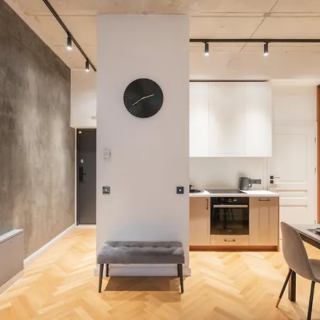 Ng Charm In Old Town W-terrace & Netflix Apartment Vilnius